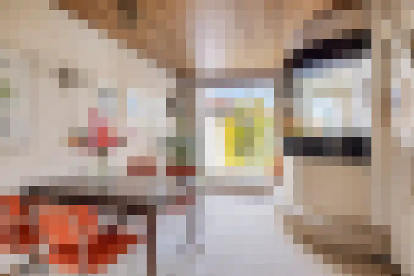 Westsingel 24 Oudewater thumbnail 11