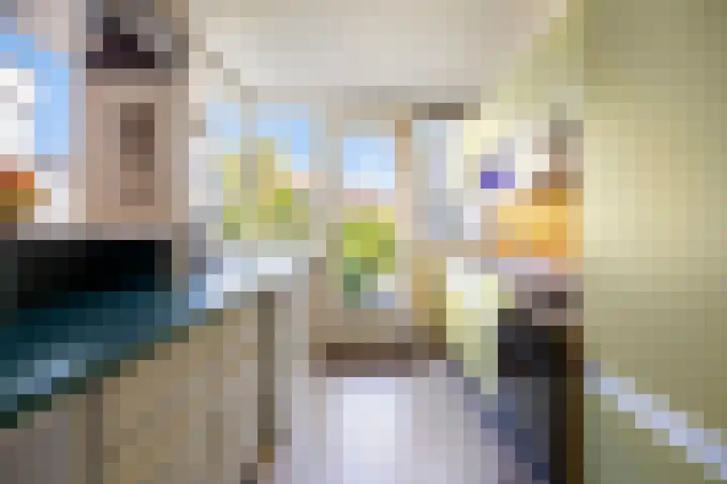 Westsingel 24 Oudewater thumbnail 13