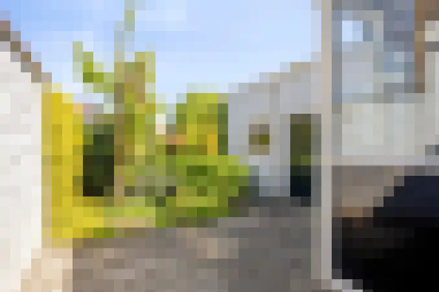 Westsingel 24 Oudewater thumbnail 44