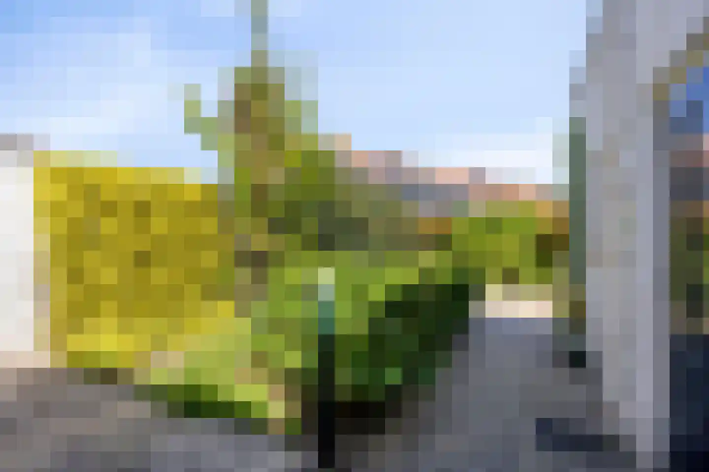 Westsingel 24 Oudewater thumbnail 45