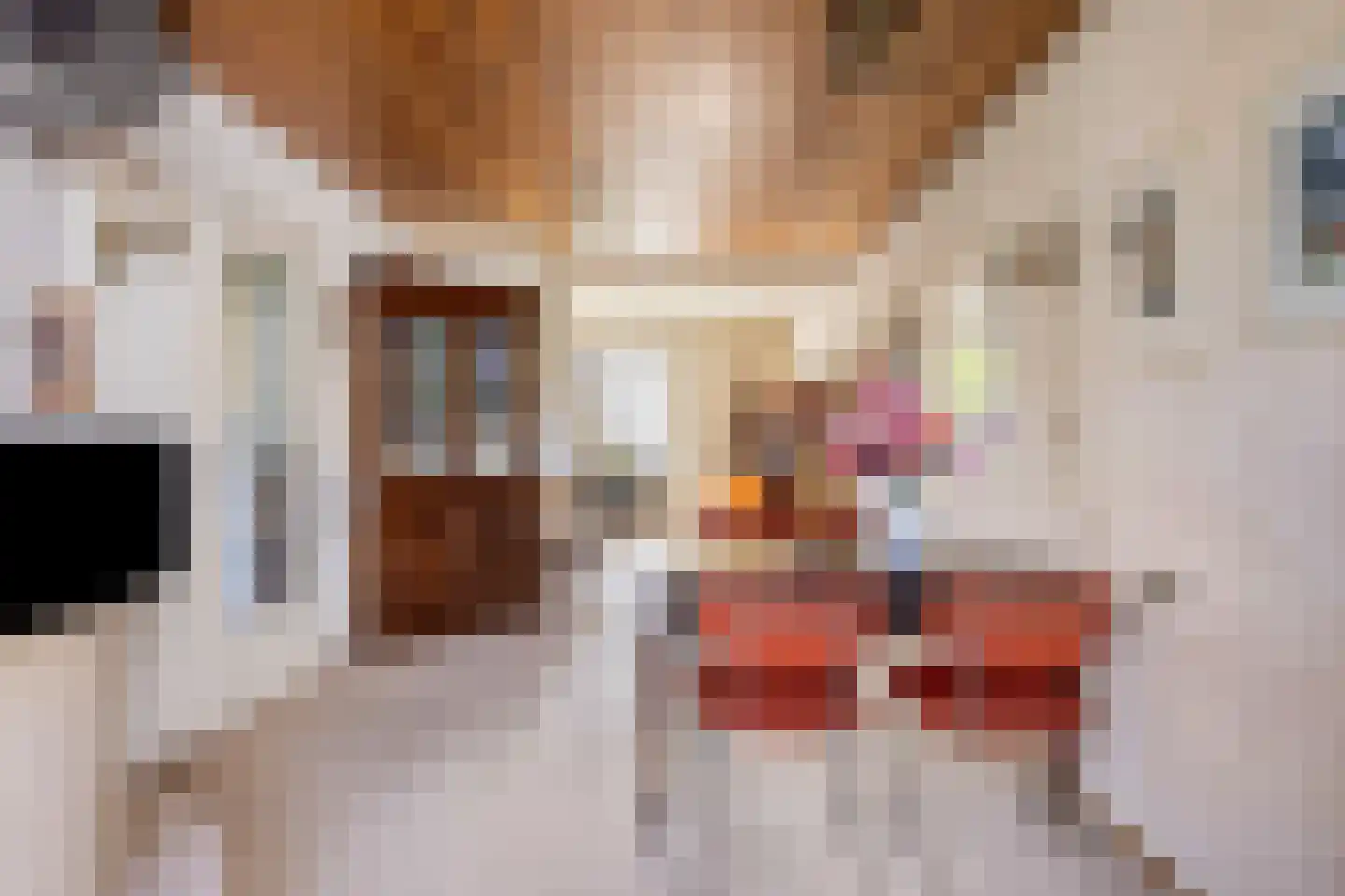 Westsingel 24 Oudewater thumbnail 5