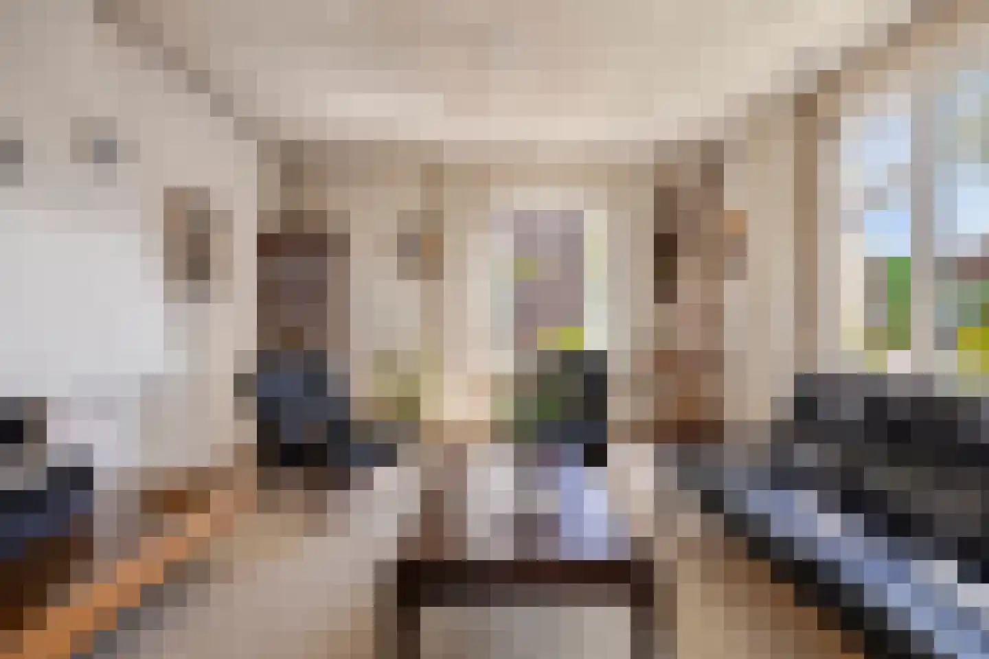 Westsingel 24 Oudewater thumbnail 7