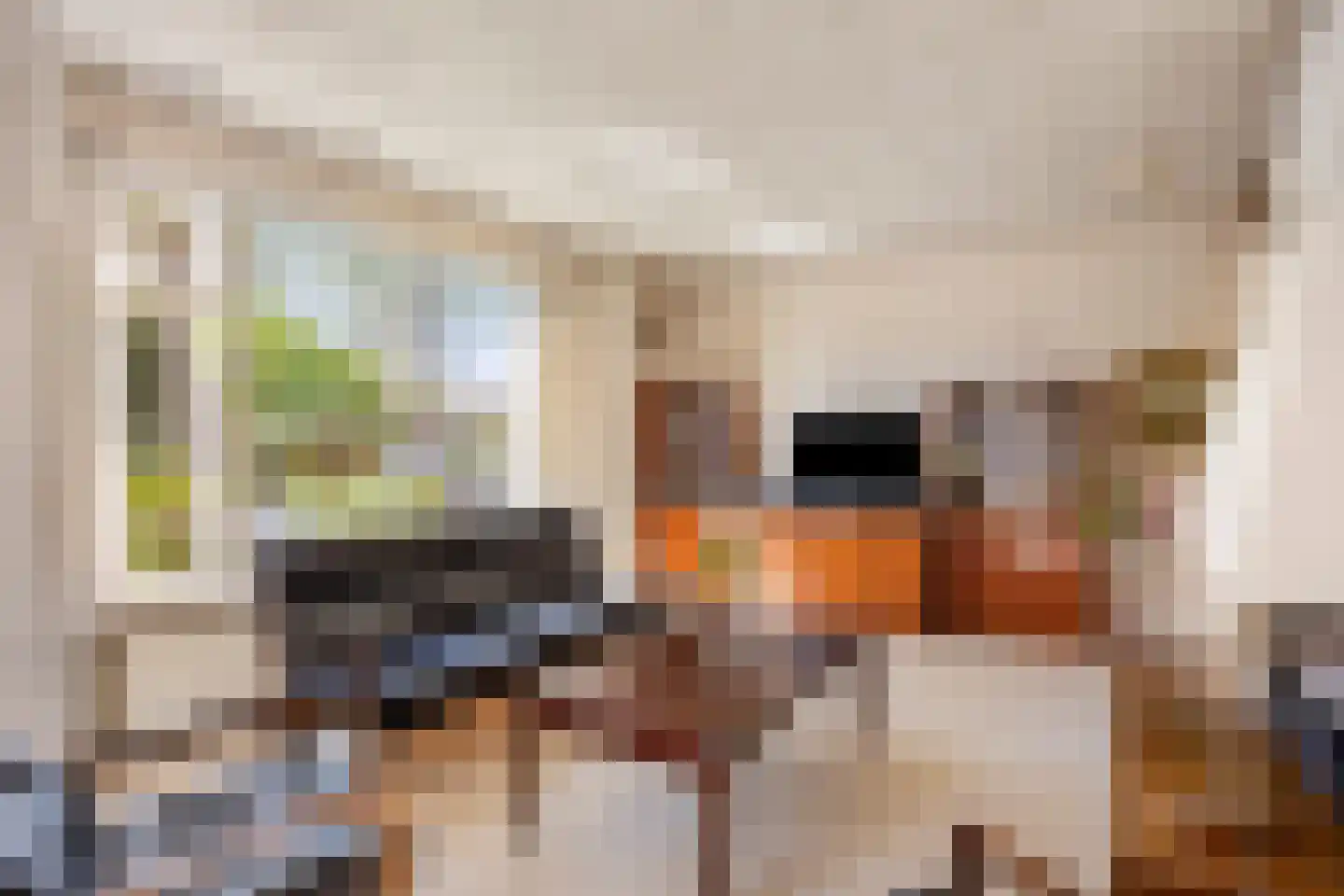 Westsingel 24 Oudewater thumbnail 8