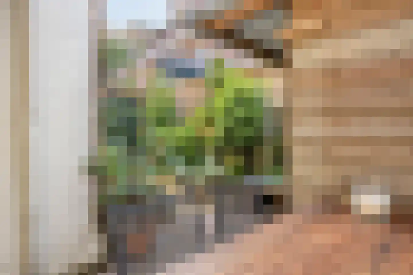 Westsingel 26 Amersfoort thumbnail 27