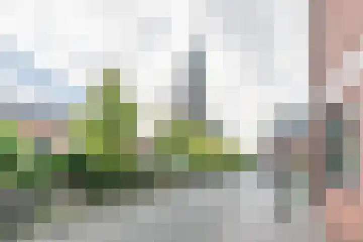 Westsingel 28 F Amersfoort thumbnail 4
