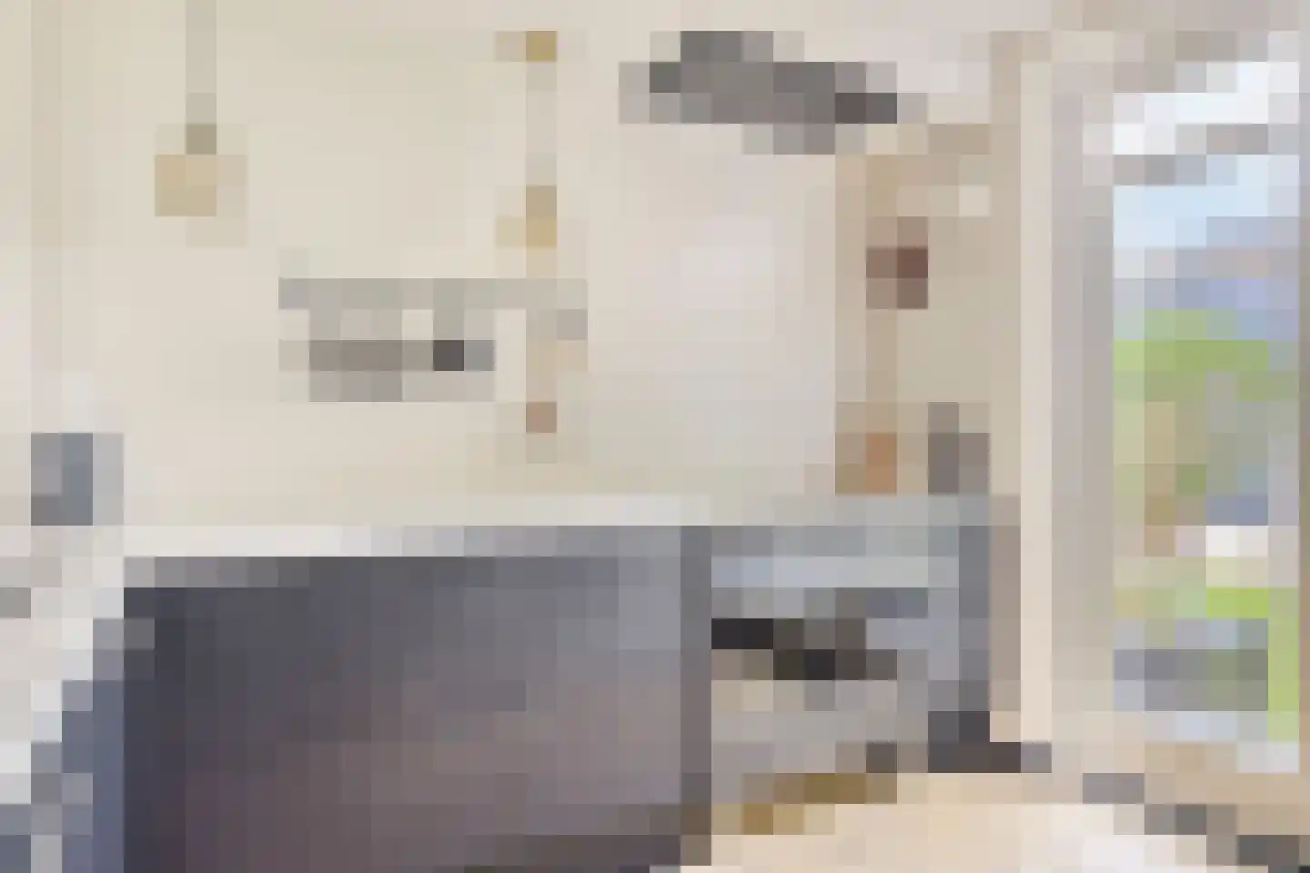 Westsingel 3 Oudewater thumbnail 14