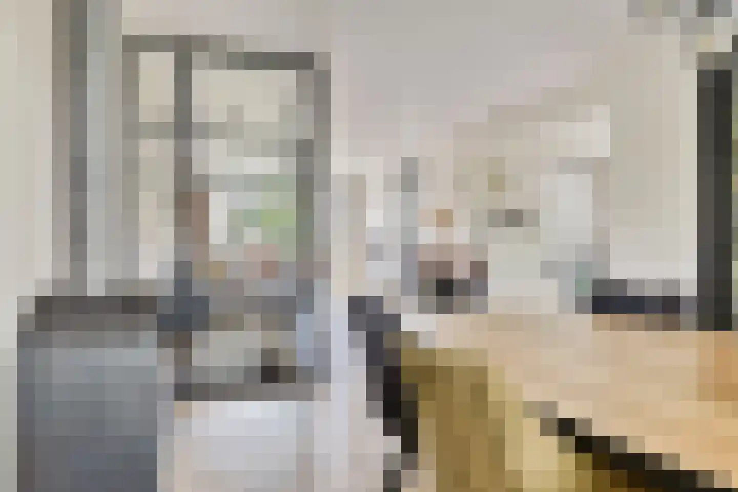 Westsingel 3 Oudewater thumbnail 20