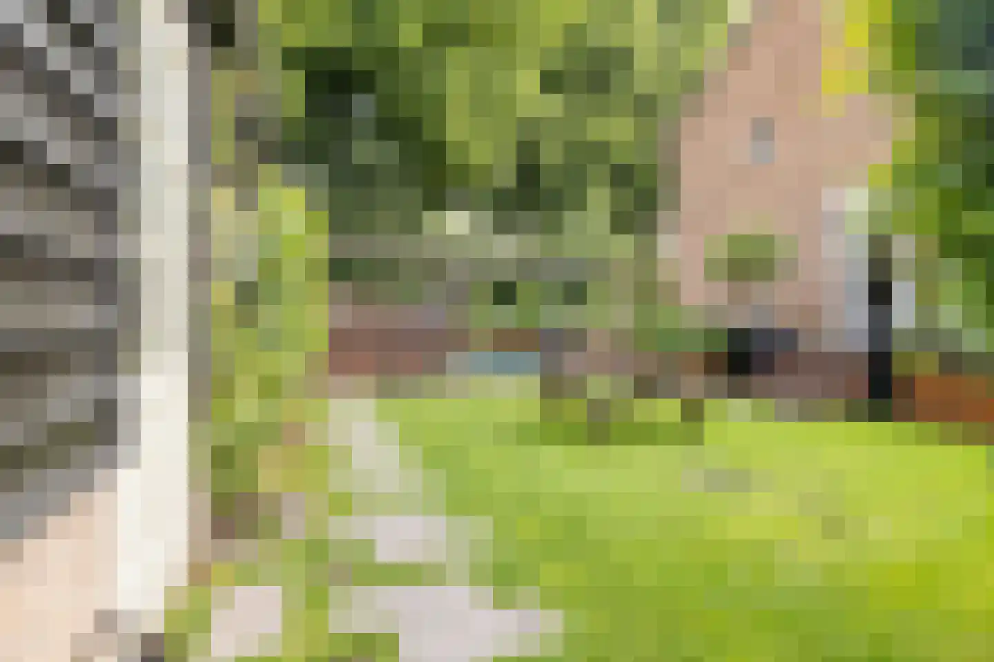 Westsingel 3 Oudewater thumbnail 30