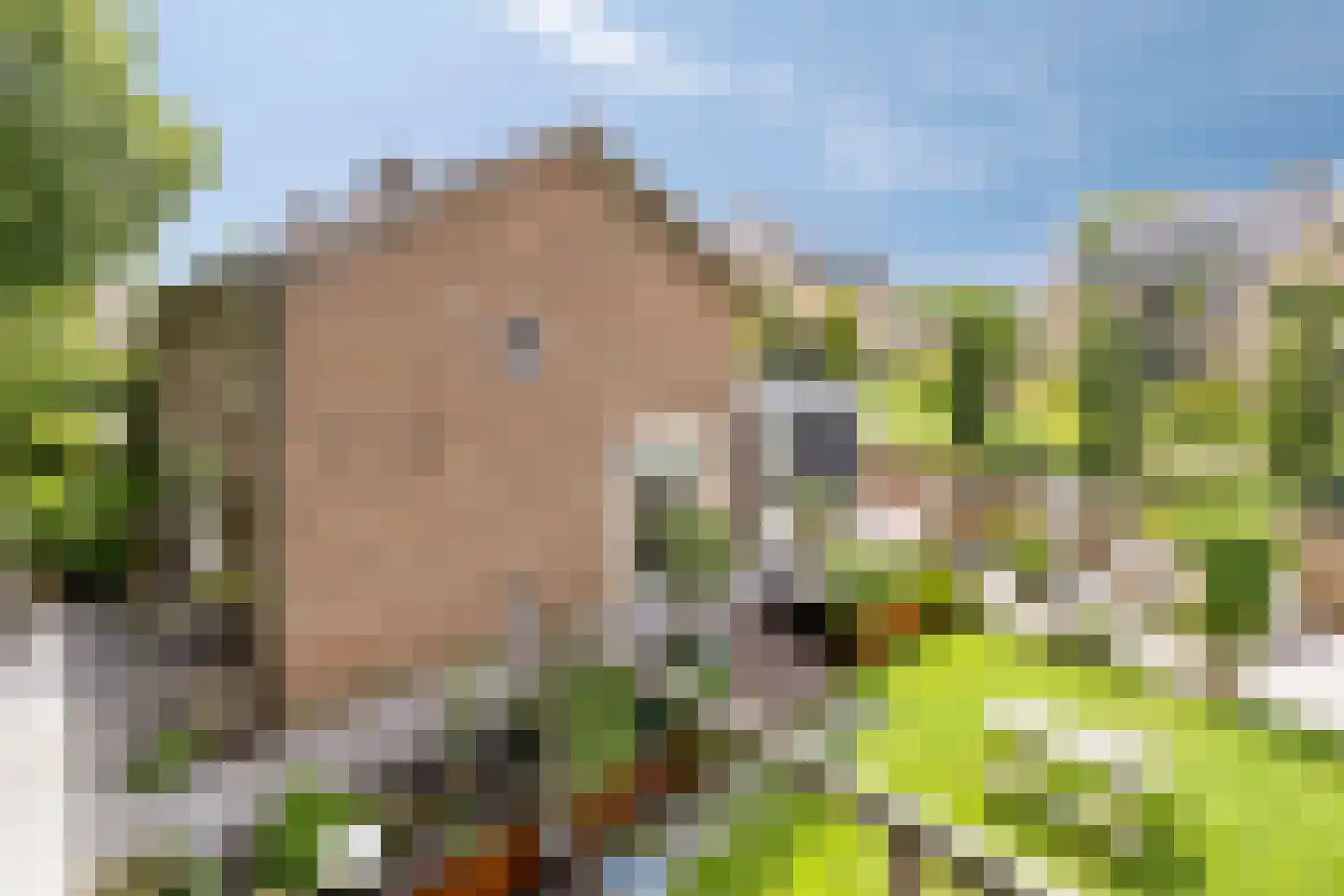 Westsingel 3 Oudewater thumbnail 32