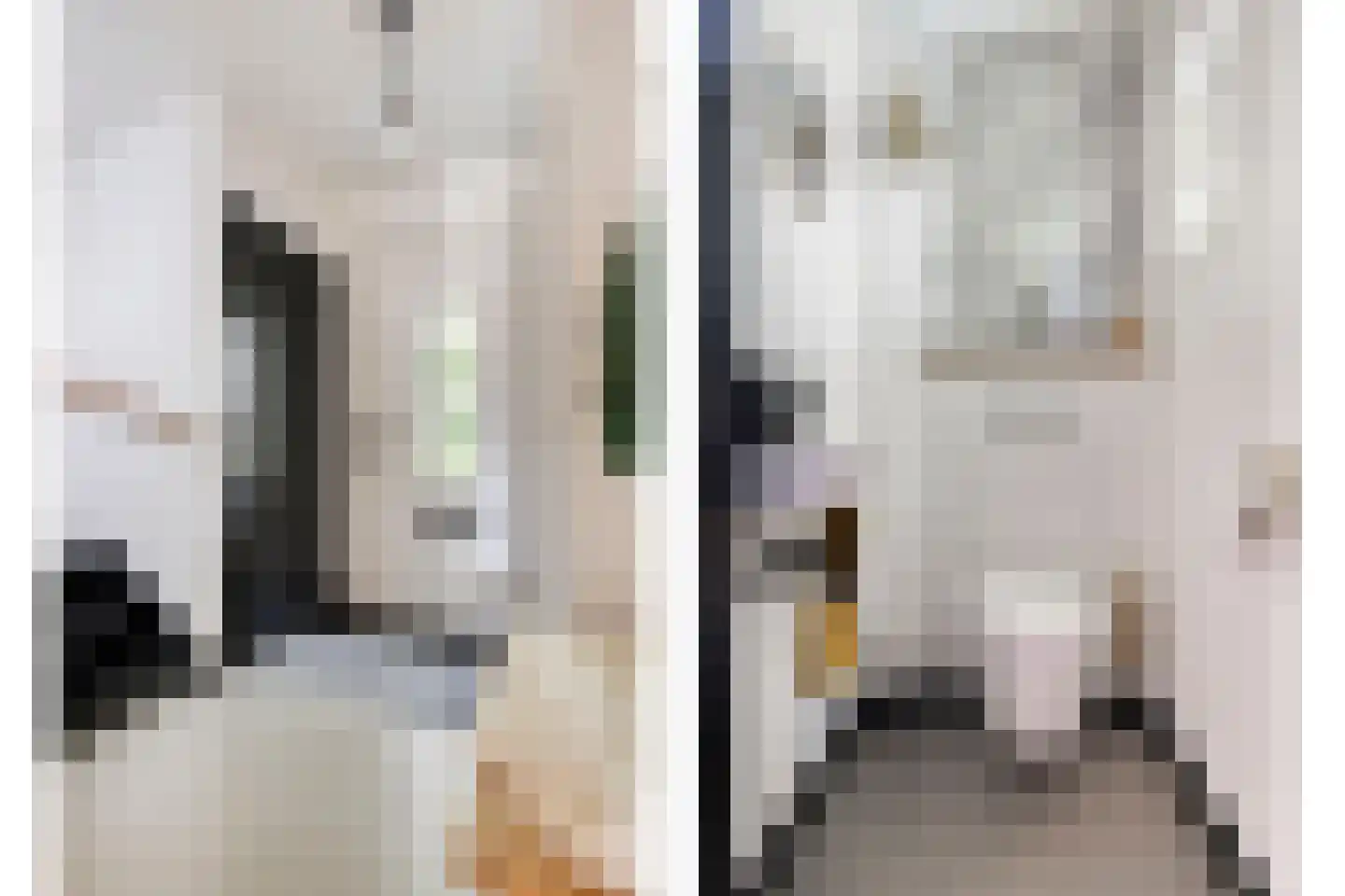 Westsingel 3 Oudewater thumbnail 34