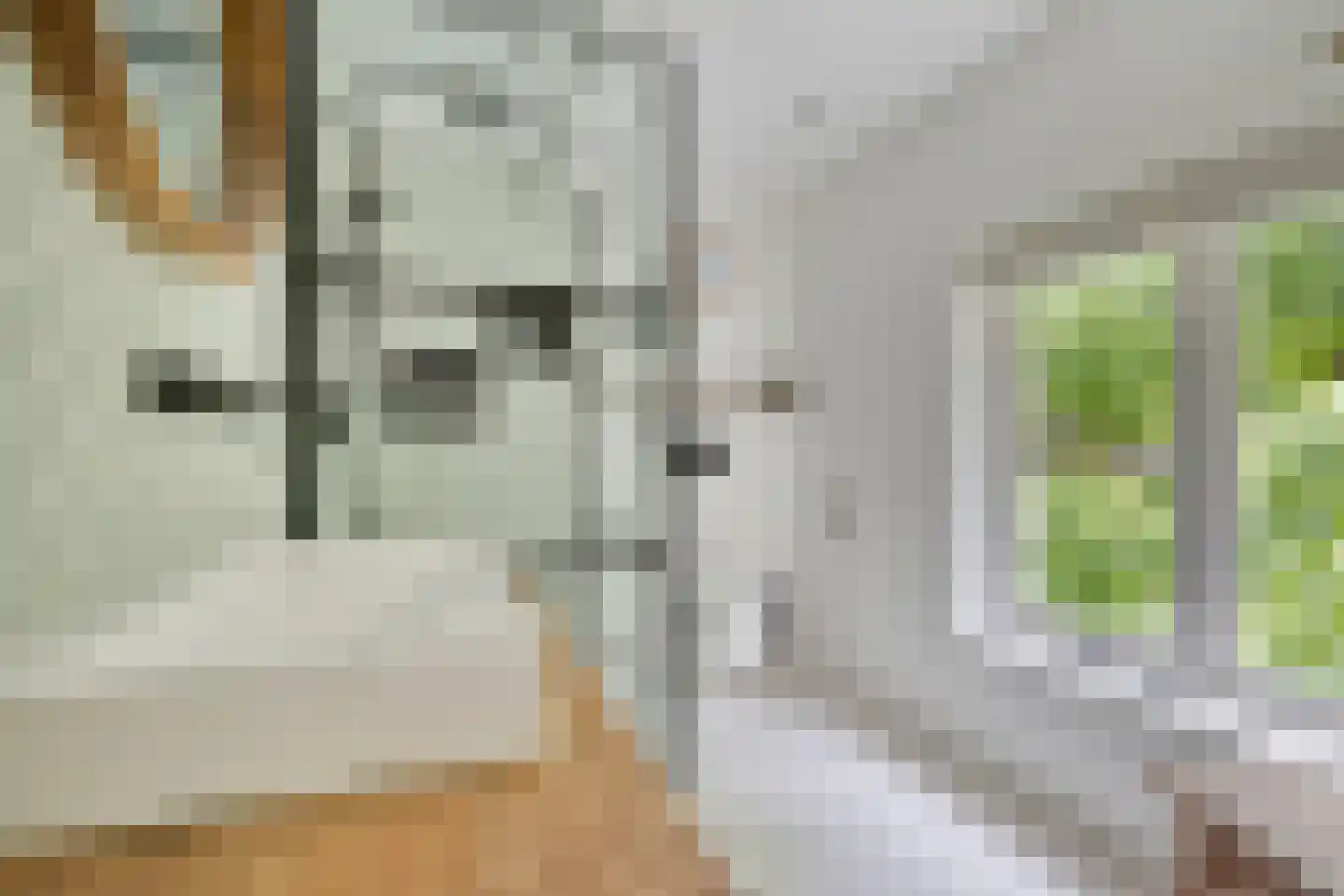 Westsingel 3 Oudewater thumbnail 36