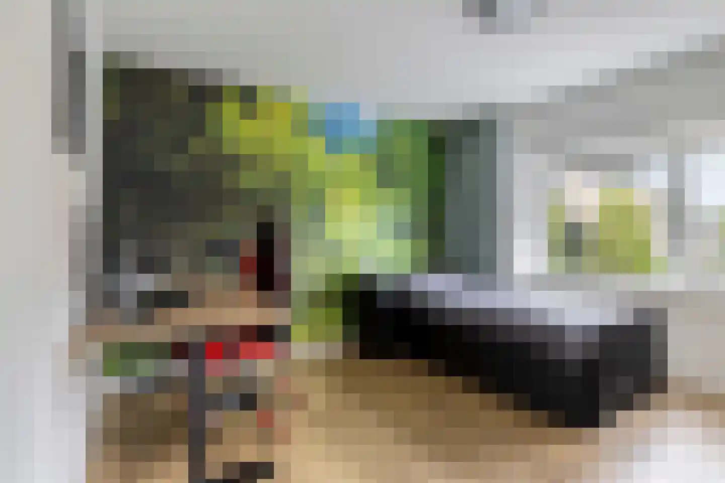 Westsingel 3 Oudewater thumbnail 38