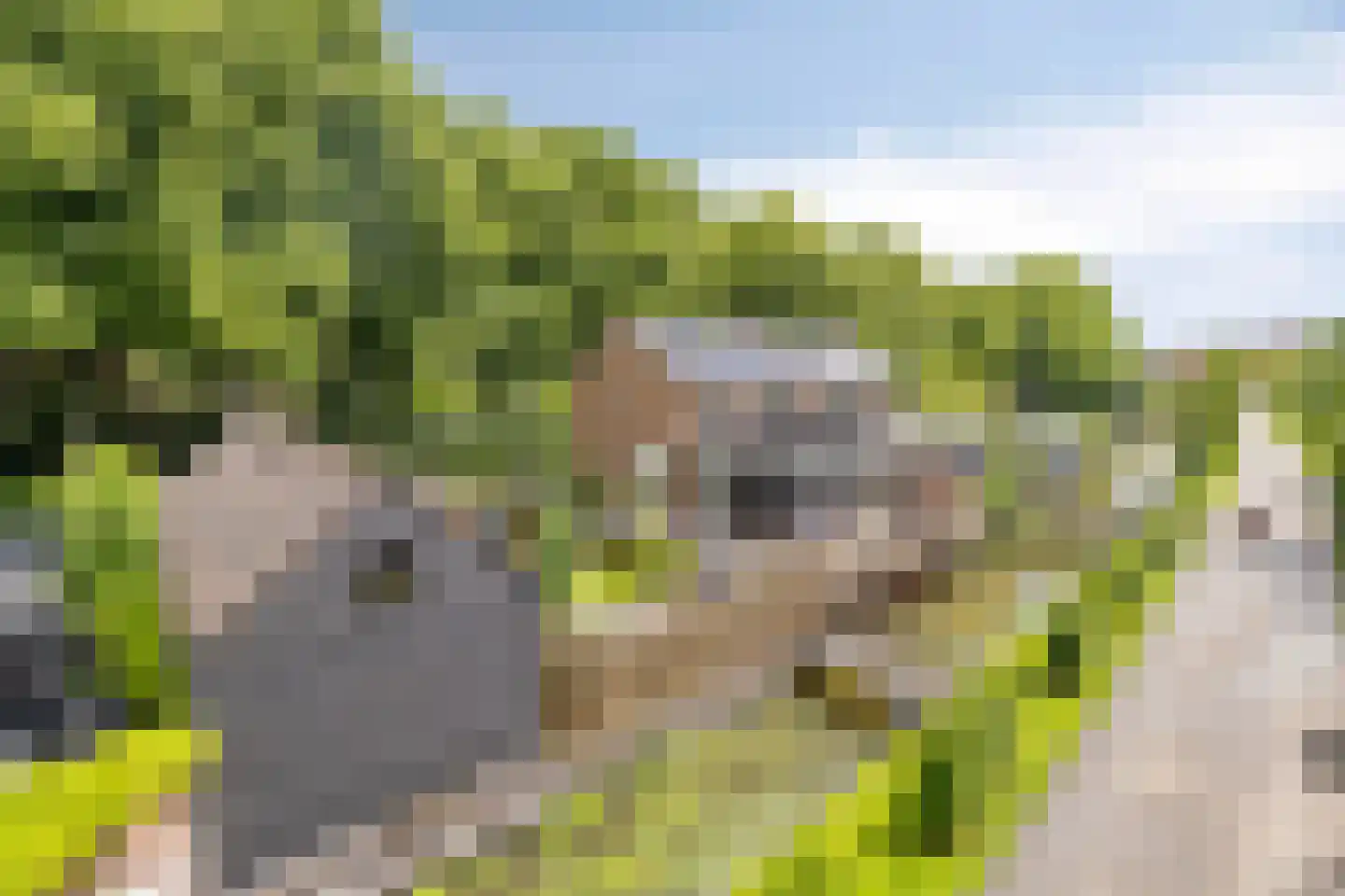 Westsingel 3 Oudewater thumbnail 42