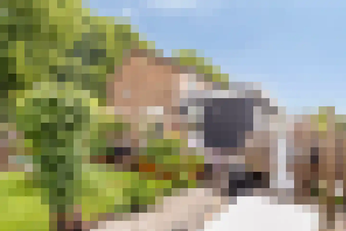Westsingel 3 Oudewater thumbnail 43