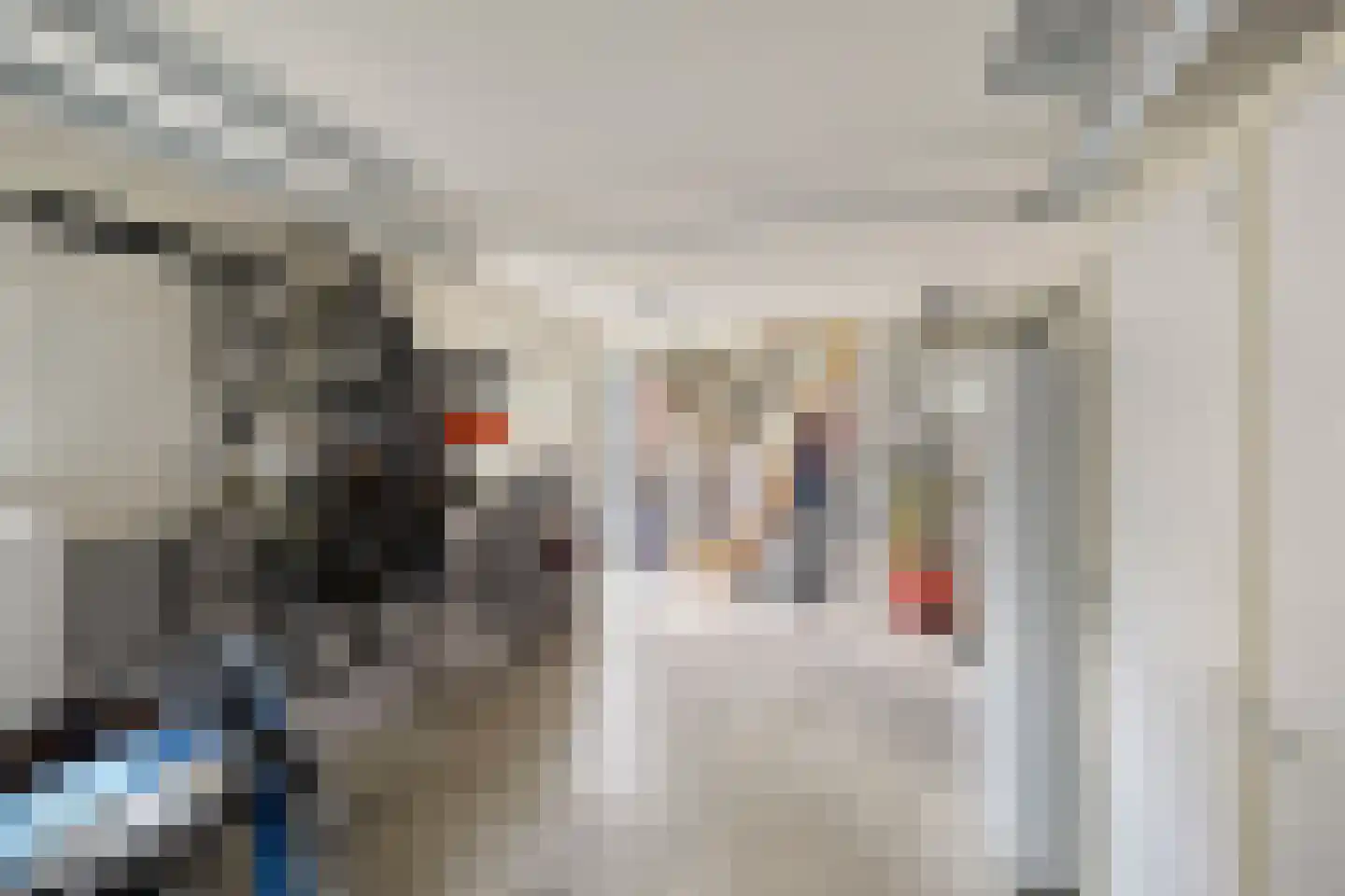 Westsingel 3 Oudewater thumbnail 49