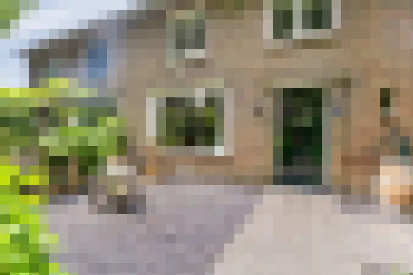 Westsingel 3 Oudewater thumbnail 51