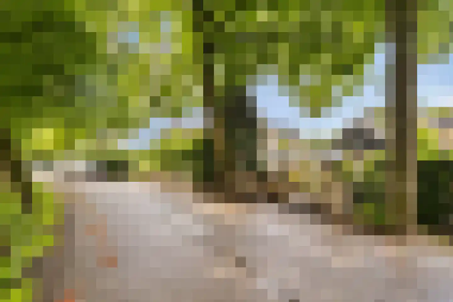 Westsingel 3 Oudewater thumbnail 52
