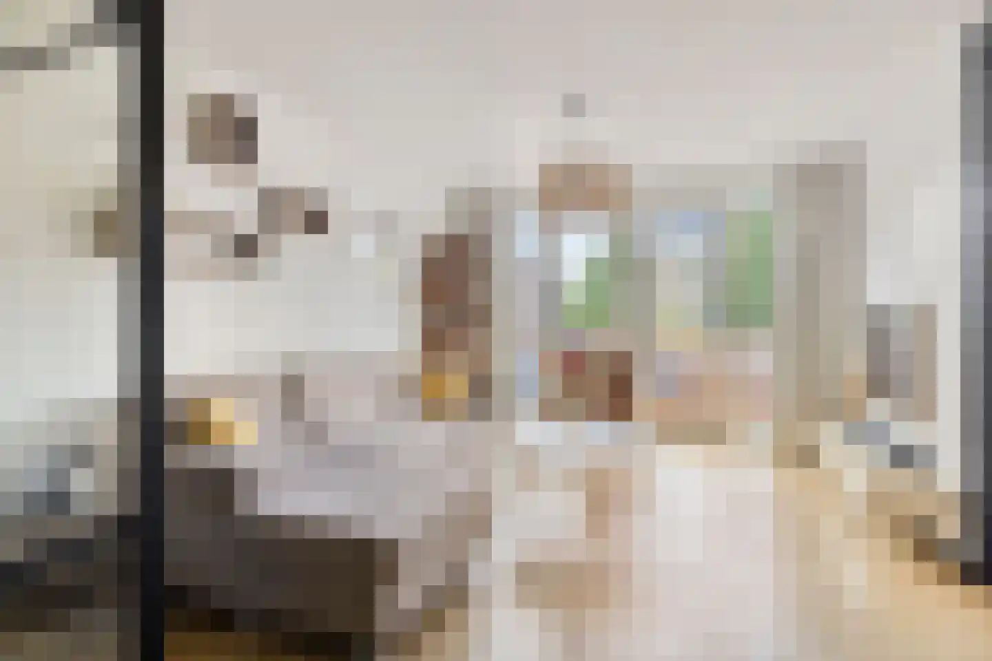 Westsingel 3 Oudewater thumbnail 6