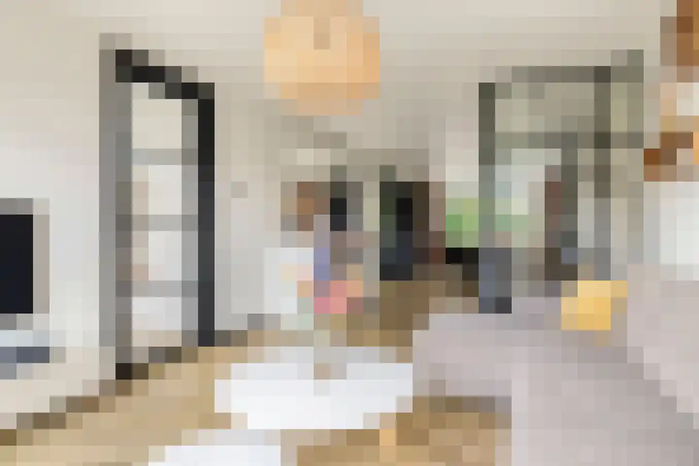 Westsingel 3 Oudewater thumbnail 7