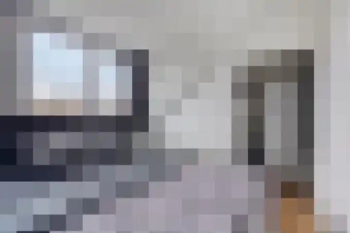 Westsingel 30 Borssele thumbnail 13