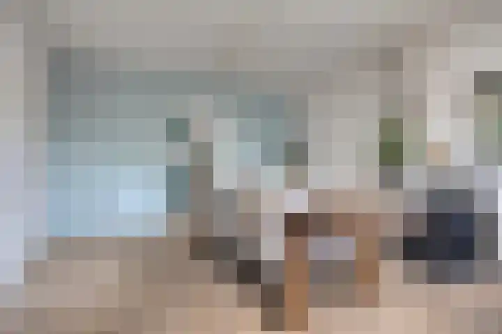 Westsingel 30 Borssele thumbnail 4