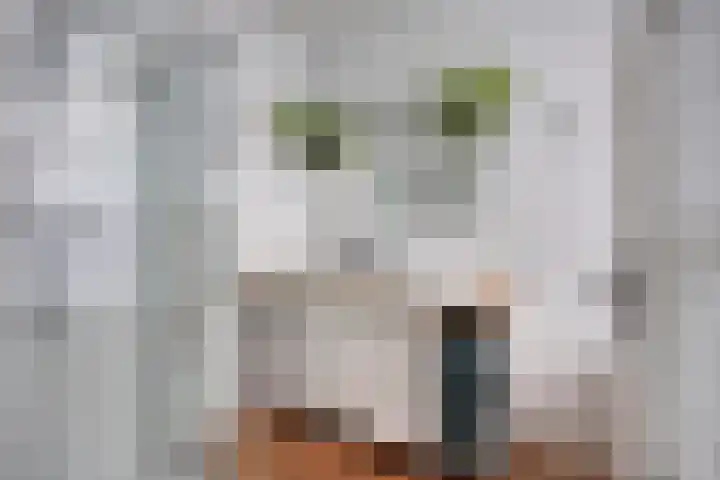 Westsingel 30 Borssele thumbnail 9