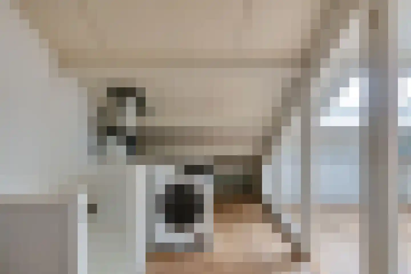 Westsingel 80 Axel thumbnail 32