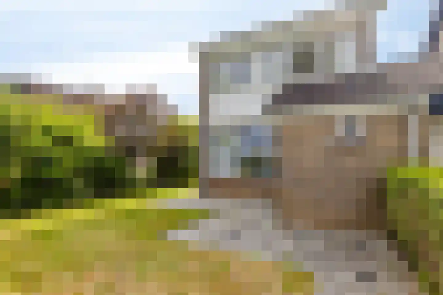 Westsingel 80 Axel thumbnail 8