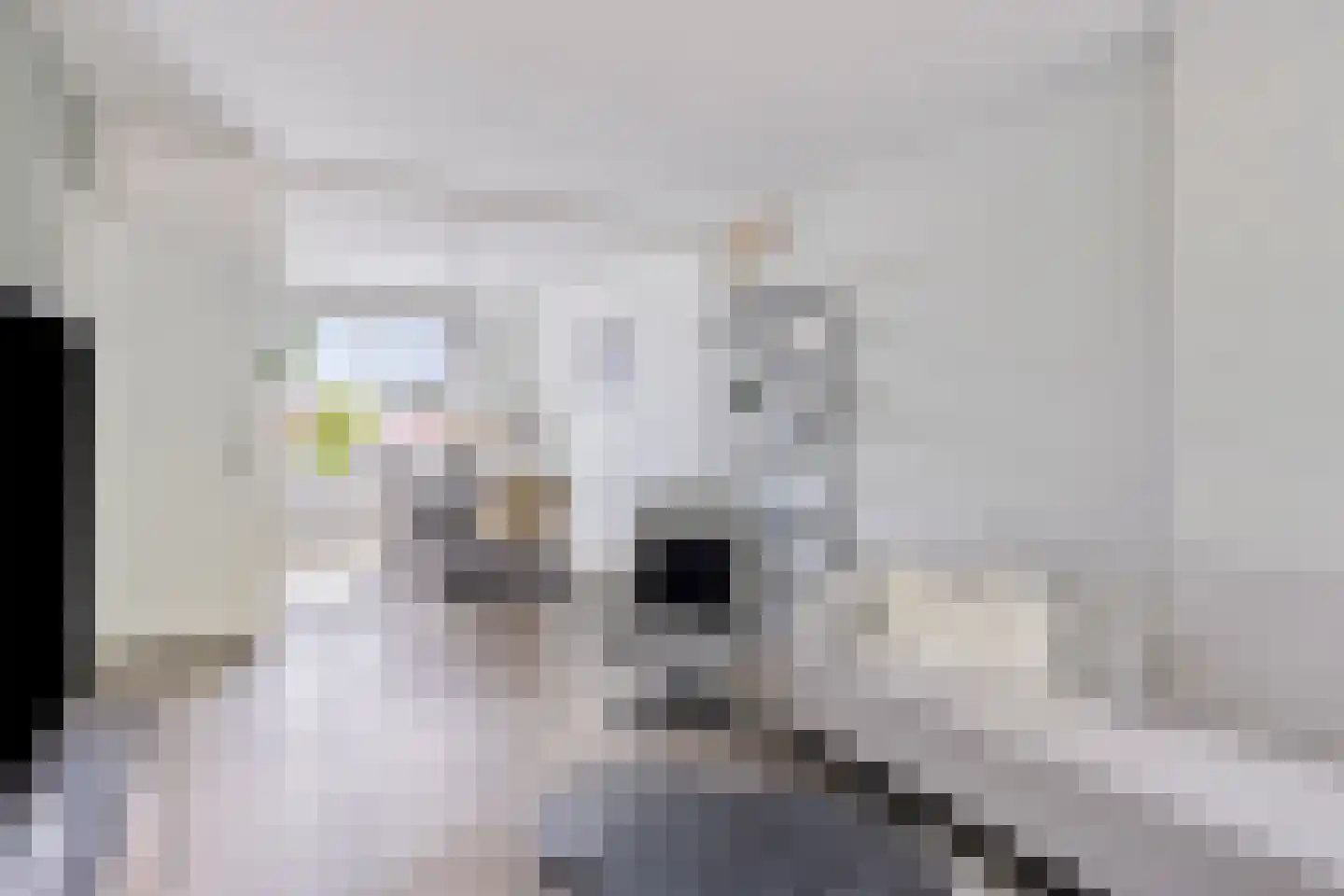 Westsingel 82 Venray thumbnail 12