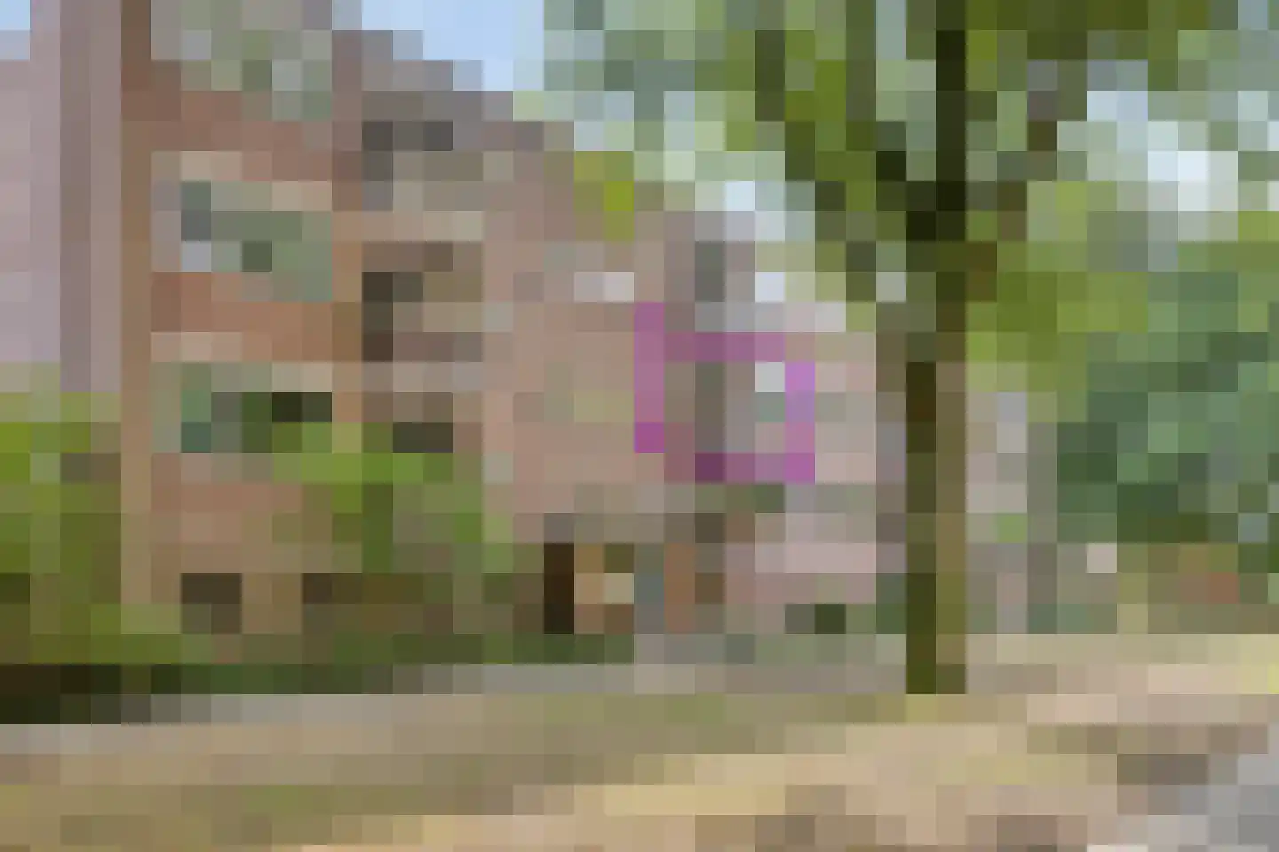 Westsingel 82 Venray thumbnail 4