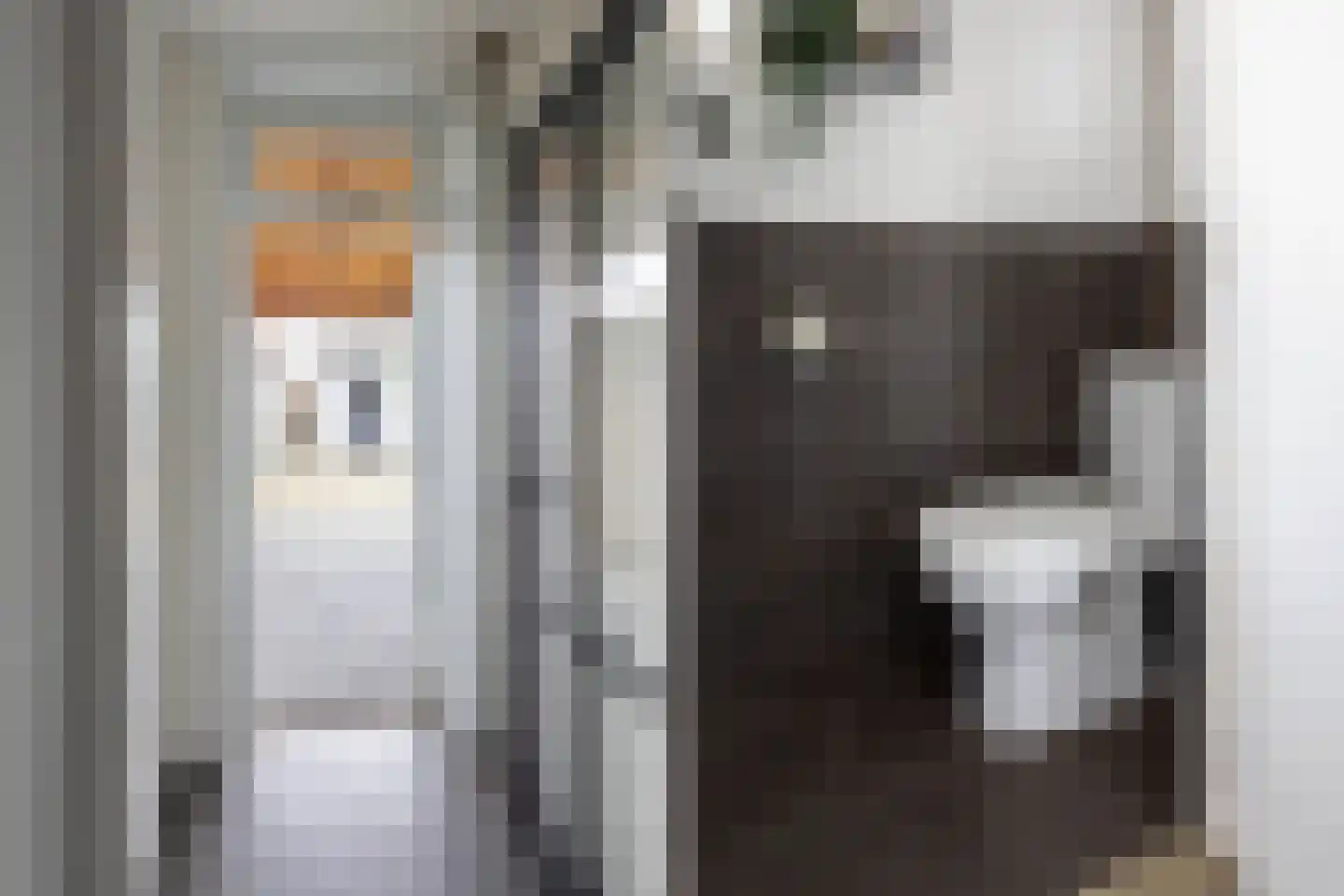 Weststraat 1 Zaamslag thumbnail 16