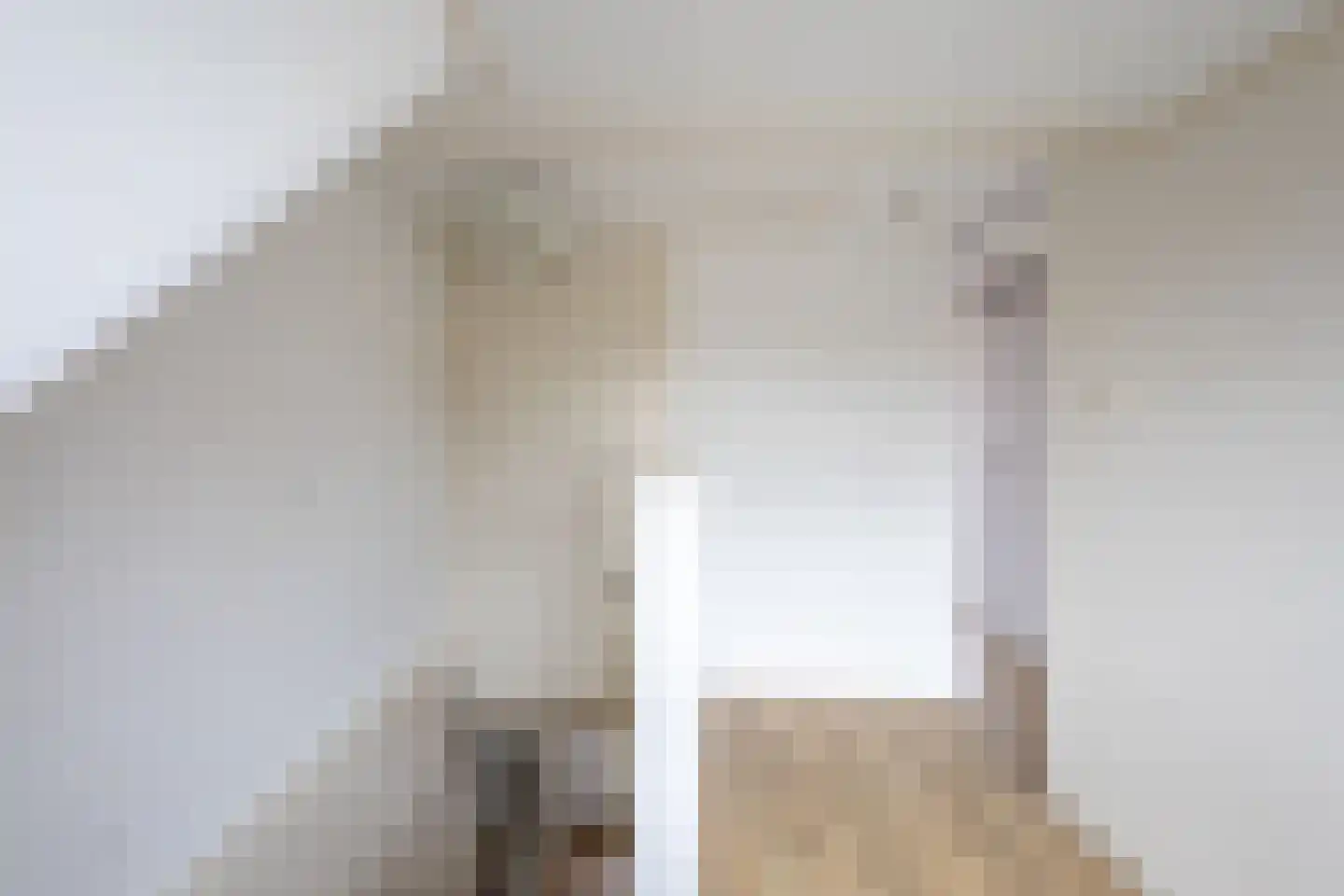 Weststraat 1 Zaamslag thumbnail 18