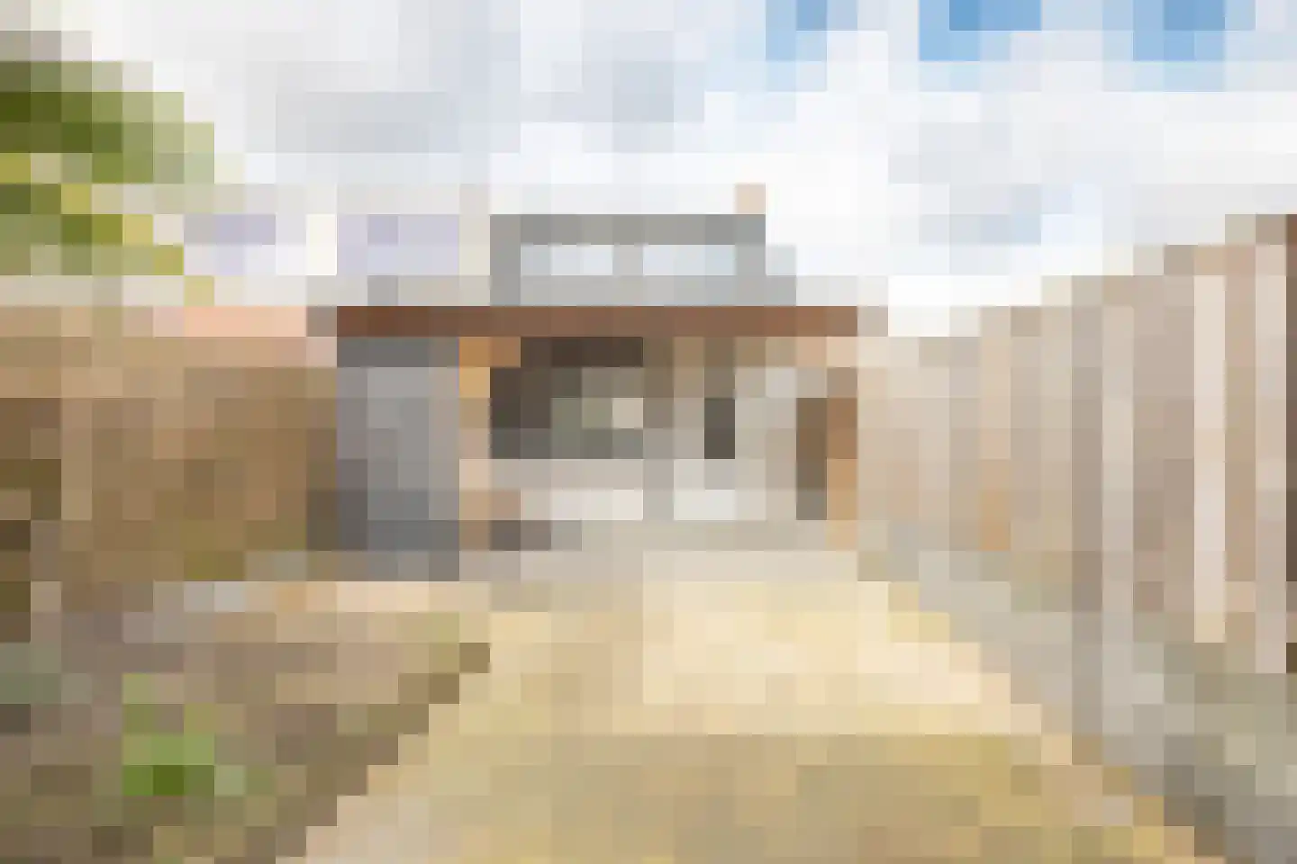 Weststraat 1 Zaamslag thumbnail 29