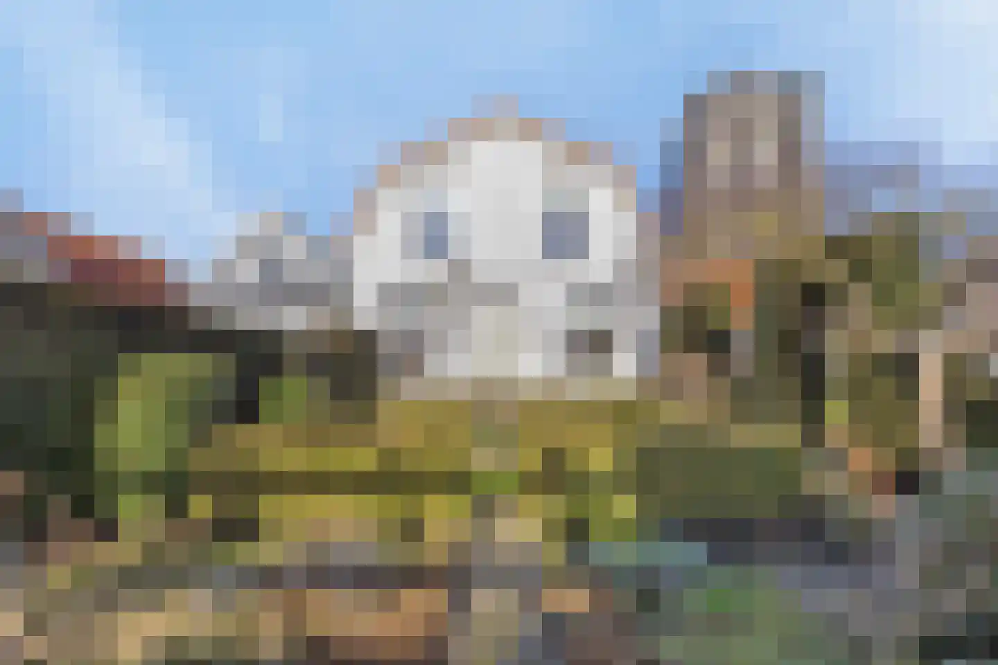 Weststraat 1 Zierikzee thumbnail 40