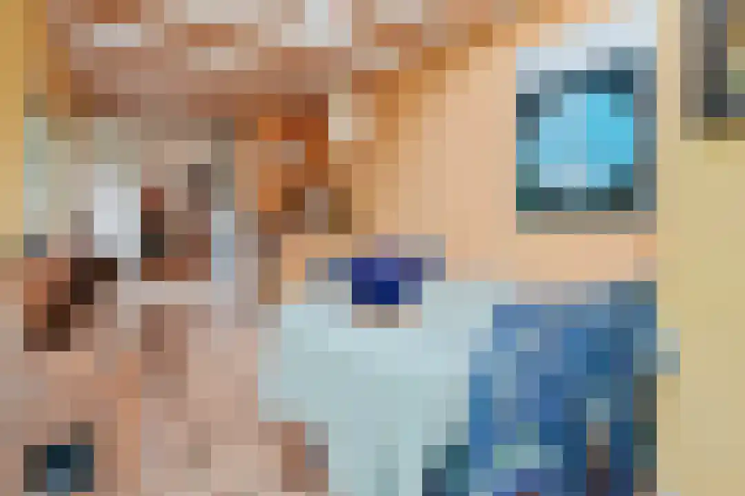 Weststraat 10 Den Burg thumbnail 9