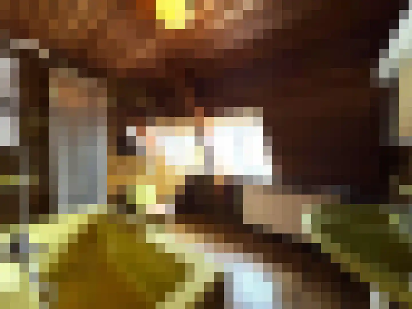 Weststraat 14 Biervliet thumbnail 17