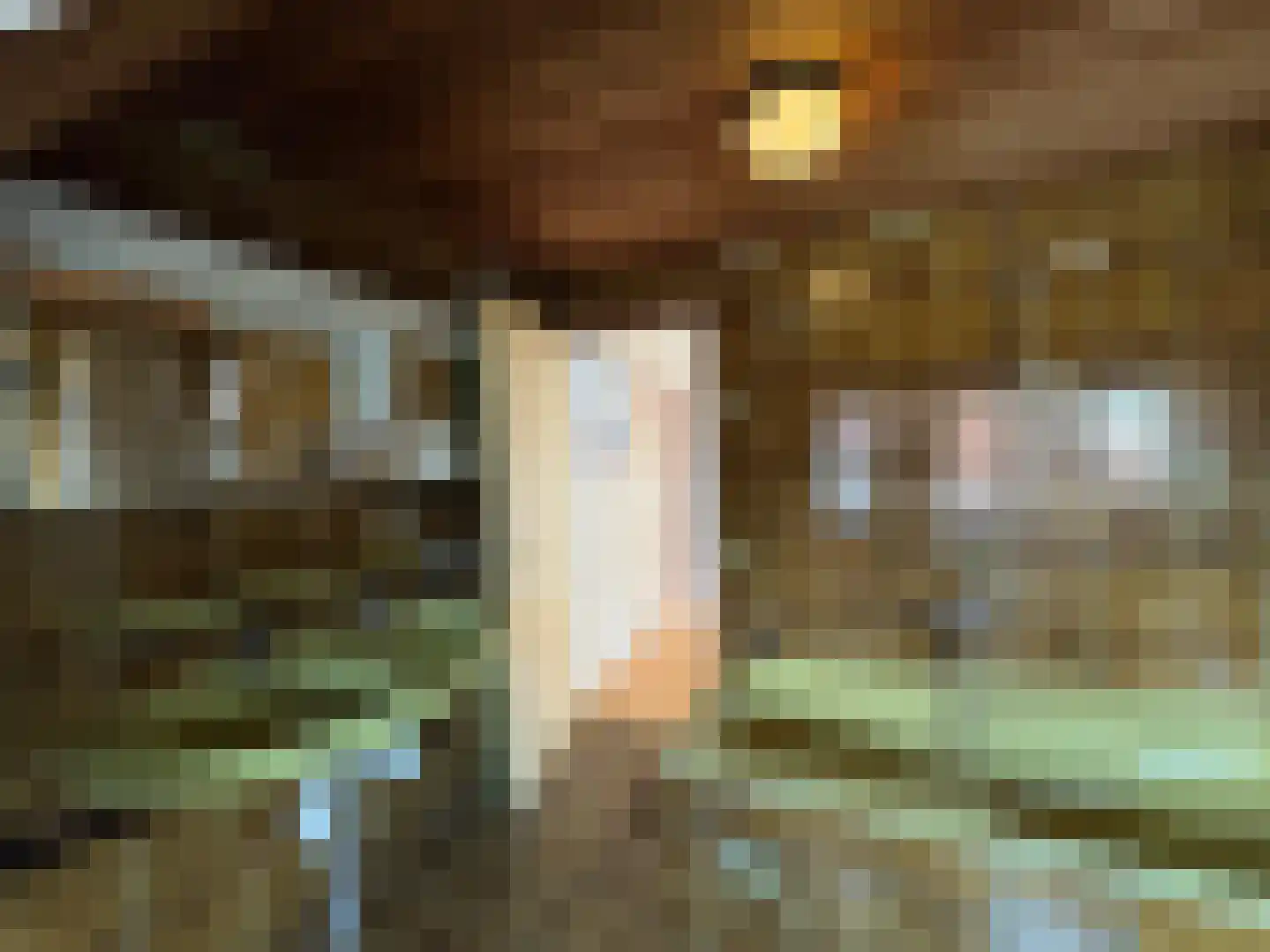 Weststraat 14 Biervliet thumbnail 18