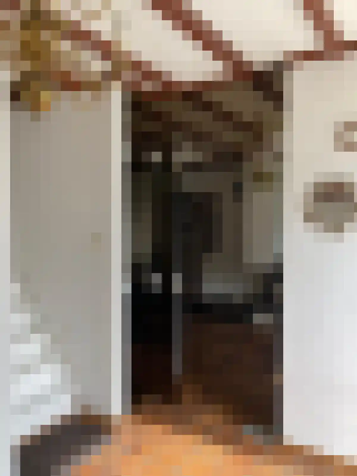 Weststraat 14 Biervliet thumbnail 5