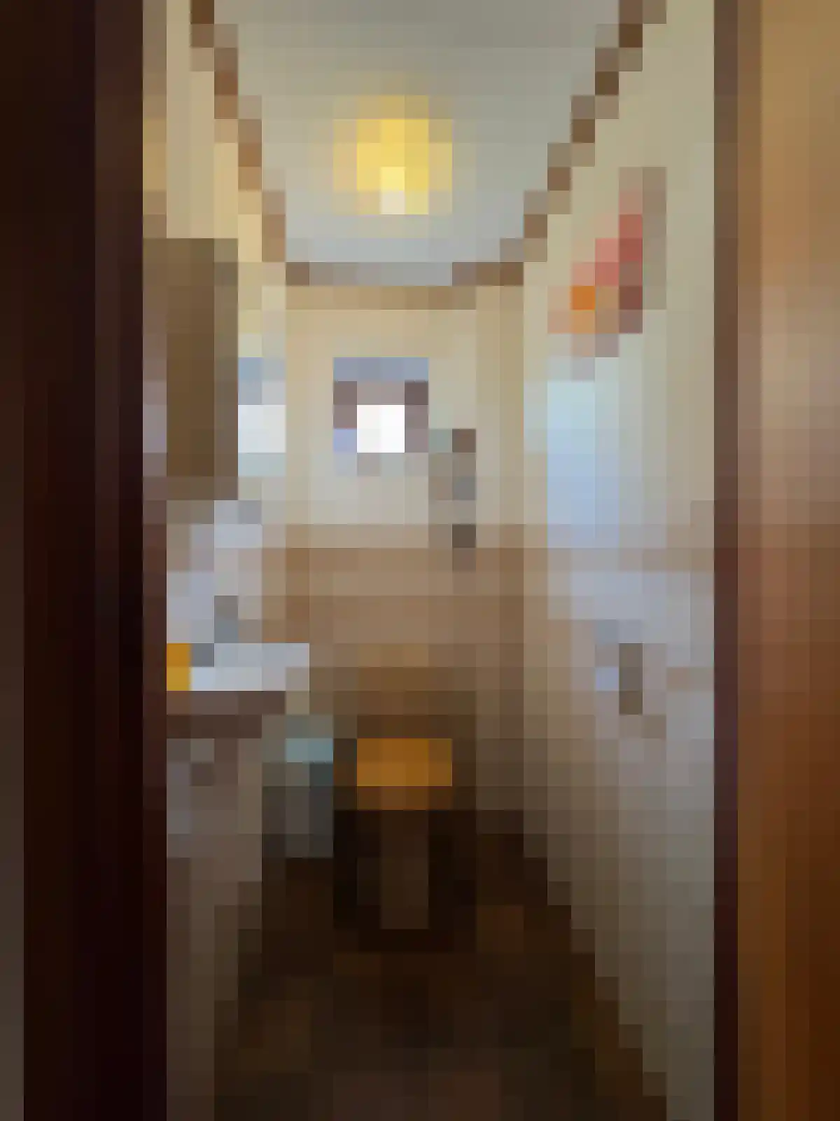 Weststraat 14 Biervliet thumbnail 6