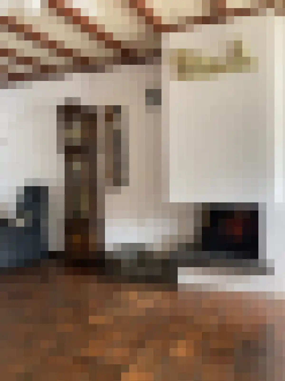 Weststraat 14 Biervliet thumbnail 8