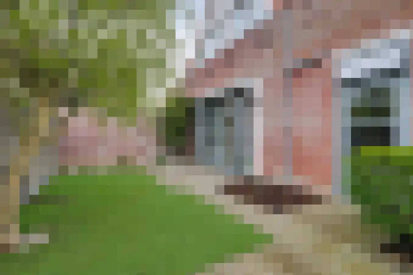 Weststraat 16 b Wissenkerke thumbnail 24