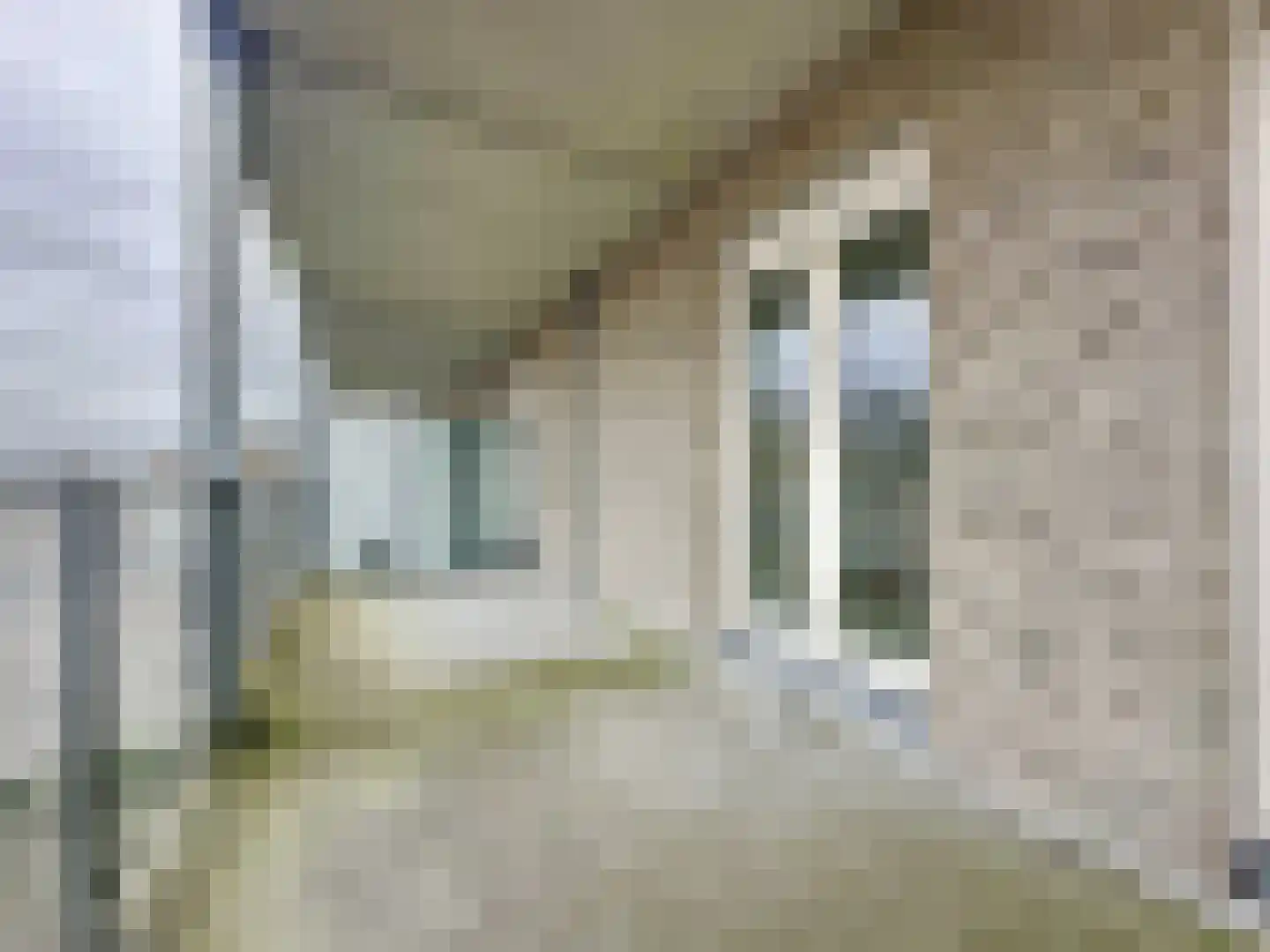 Weststraat 18 201 Aardenburg thumbnail 30