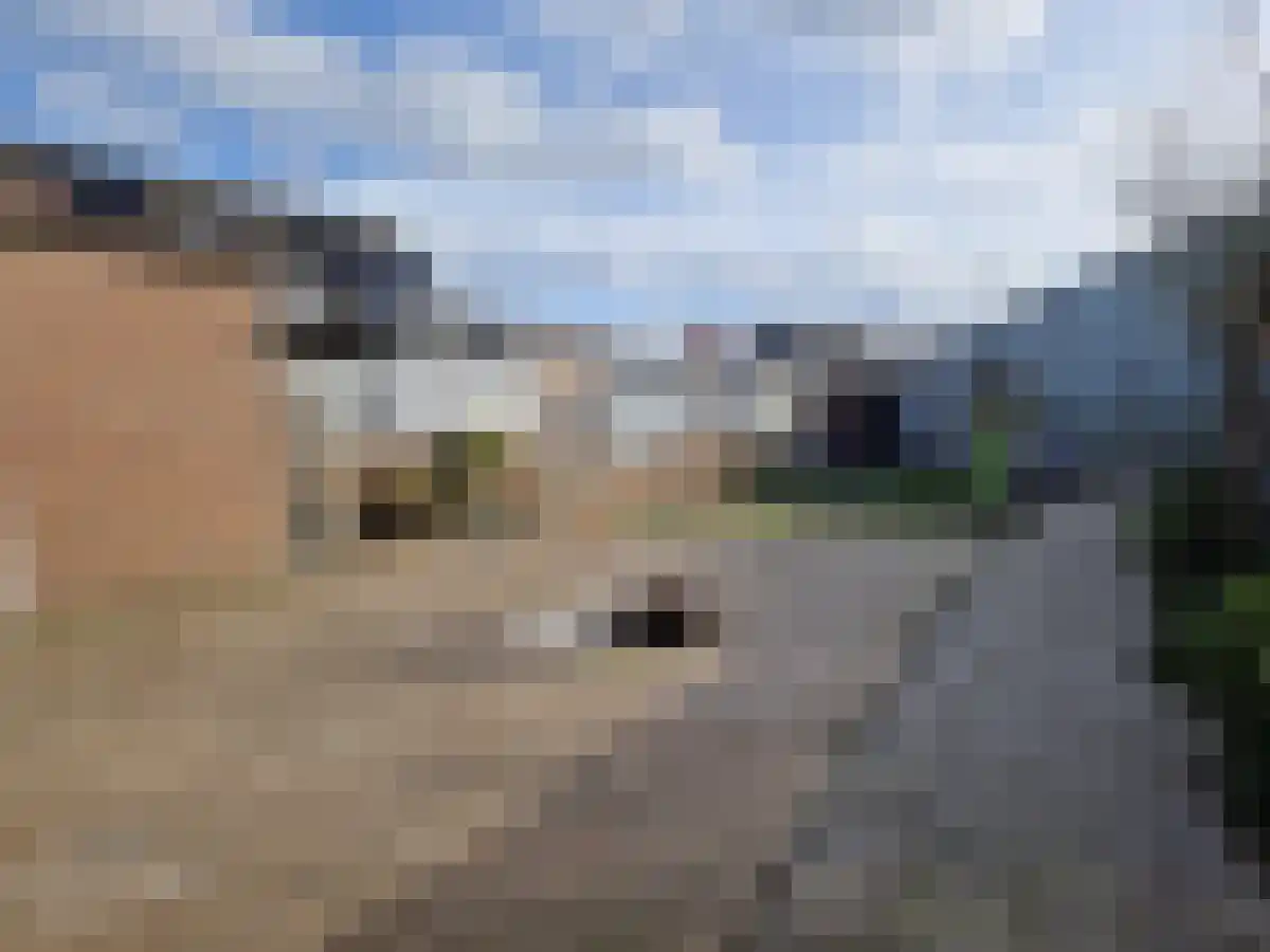 Weststraat 19 Kapelle thumbnail 13