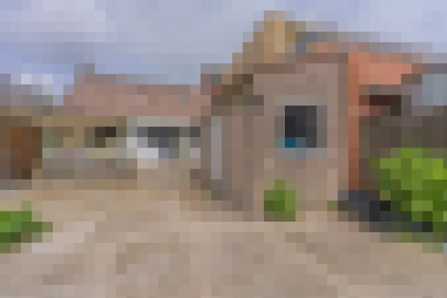 Weststraat 19 Kapelle thumbnail 28