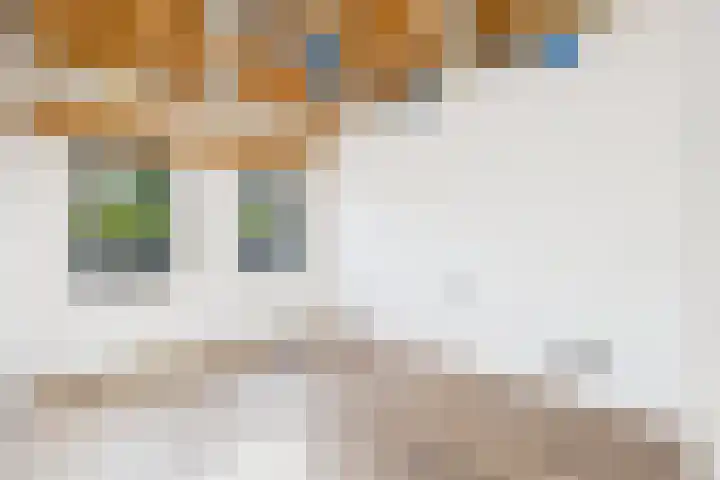 Weststraat 2 Ossenisse thumbnail 10