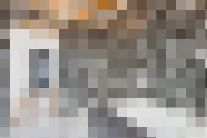Weststraat 2 Ossenisse thumbnail 12