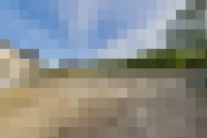 Weststraat 2 Ossenisse thumbnail 21