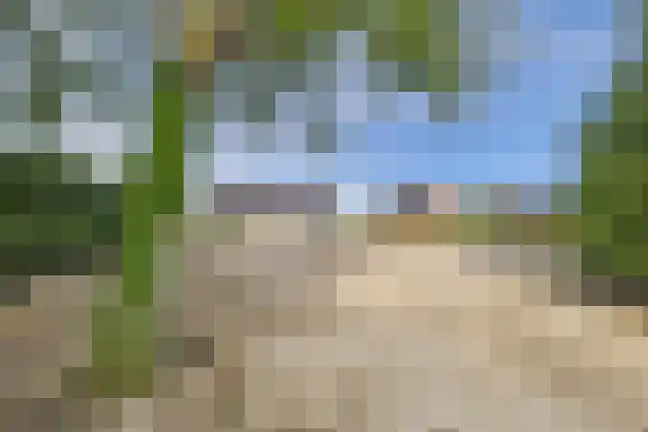 Weststraat 2 Ossenisse thumbnail 23