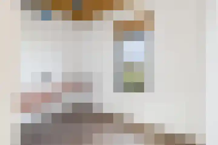 Weststraat 2 Ossenisse thumbnail 9