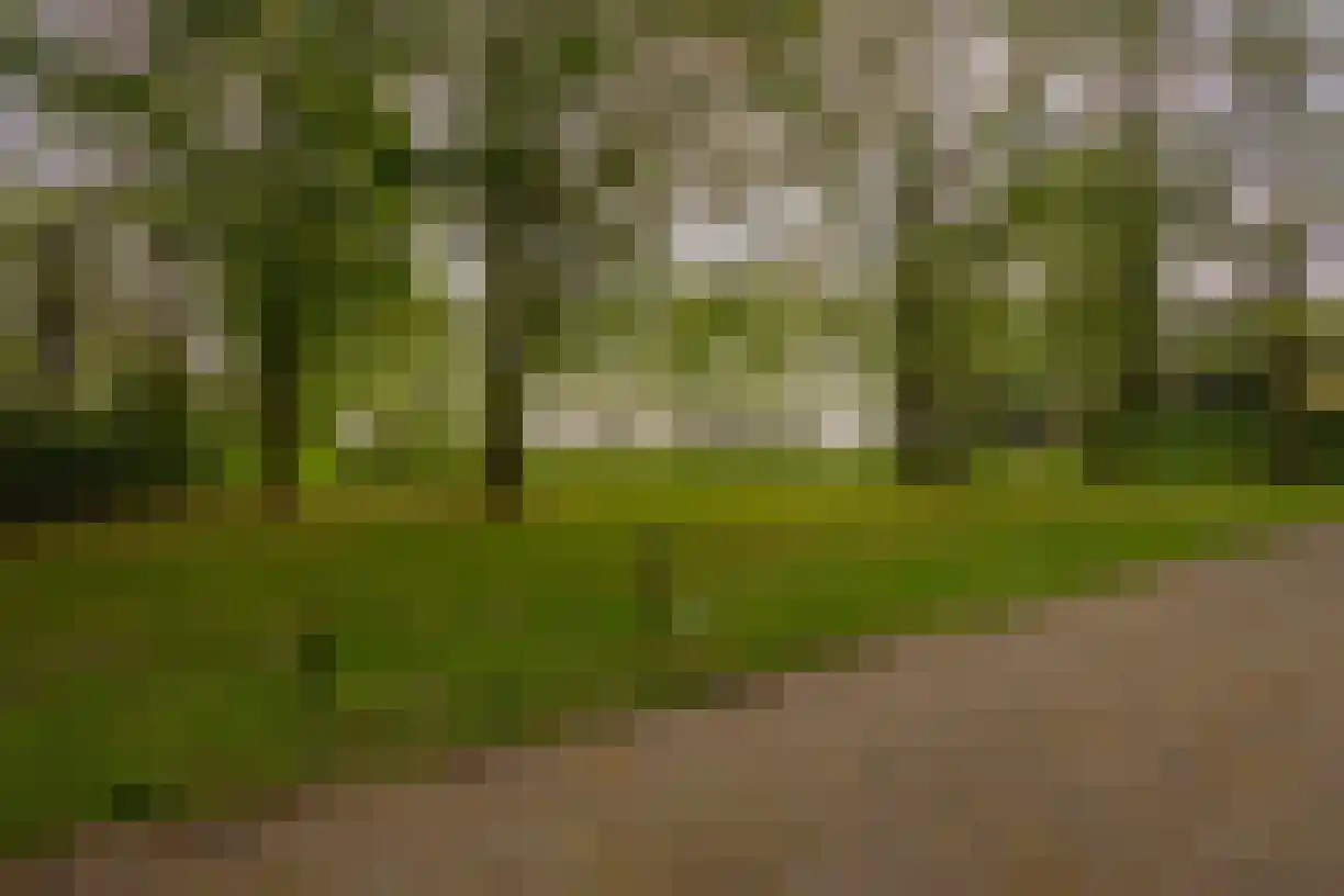 Weststraat 2 Wouwse Plantage thumbnail 4